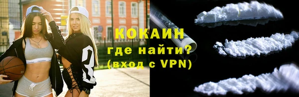 прущие грибы Няндома