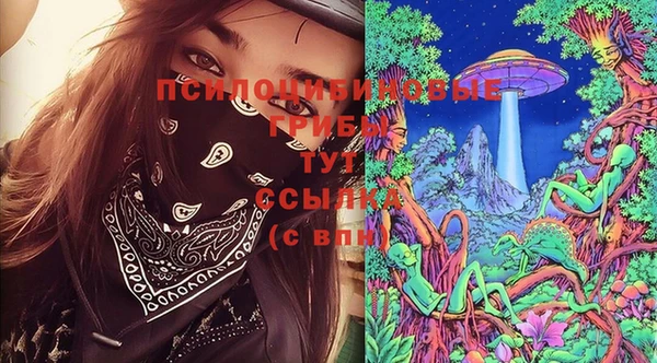 герыч Алексин